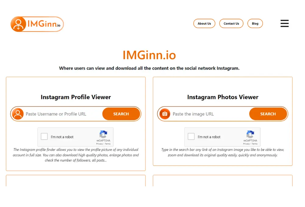 imginn website